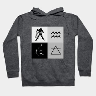 Aquarius Hoodie